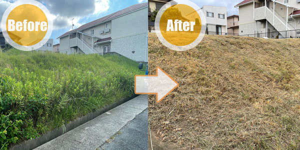 施工事例 6(Before / After)