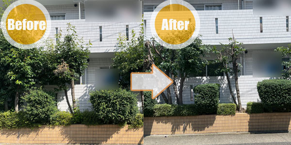 施工事例 7(Before / After)